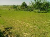 Minimum rent land