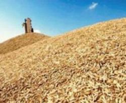 Customs of Minincomes process grain exports under simplified procedure