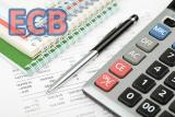 Cabinet of Ministers to Increase UST Rate for Companies