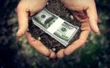 Agricultural Associations Suggest Postponing Launch of Land Market for Other 7 Years