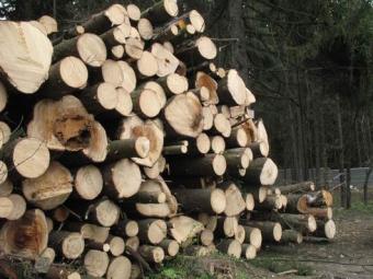 Продаж безцінних українських ресурсів заради кредитів є злочином - експерт