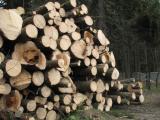 Продаж безцінних українських ресурсів заради кредитів є злочином - експерт