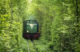 Укрзализныця продолжает назначать дополнительные поезда к пасхальным праздникам