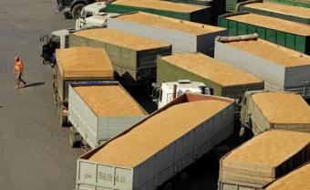 Туреччина скасувала обмеження на постачання російської пшениці