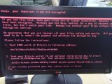 Через атаку вірусу Petya Україна за півгодини втратила 10 млрд гривень &ndash; експерт