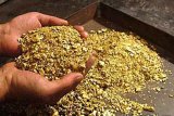 Золота лихоманка по-українськи: на Закарпатті може з&rsquo;явитися Клондайк