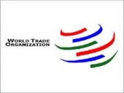 World trade to grow by 3.3% in 2013 - WTO