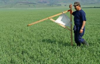 Мораторій на продаж землі у найближчі роки не знімуть - нардеп