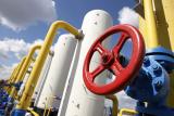 Украина создает резервный фонд в $1 млрд для закупок газа