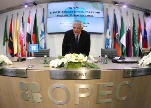 ОПЕК прогнозирует увеличение спроса на нефть в 2014г.