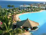 Putin signed decree on suspension of flights to Egypt