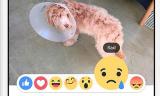 С 9 октября в Facebook появятся &laquo;эмоциональные&raquo; лайки