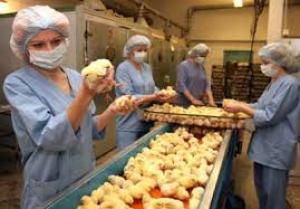 Kazakhstan puts on hold poultry imports from Ukraine
