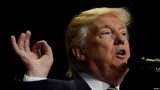 Слухи о Трампе улучшили жизнь акул