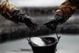 Нафта дешевшає через зростання її запасів у США