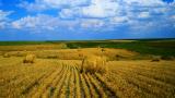 VFM audit of budget spending on the agricultural sector