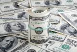Міжбанк закрився доларом по 25,67