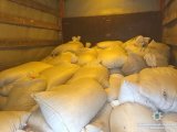 В Житомирской области полиция изъяла рекордную партию нелегального янтаря