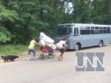 У Голосіївському парку знесли ще один табір ромів