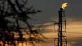 Цены на нефть растут после резкого падения накануне