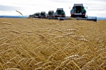 Сума продажу аграрних держпідприємств може досягти 10 млрд грн, - Павленко
