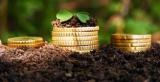 Poroshenko Approves Loan for 400 Million from EIB for Agrarians