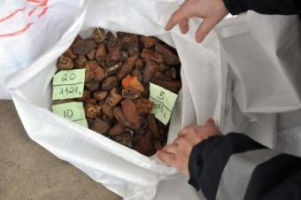 В Польше арестовали полторы тонны украинского янтаря