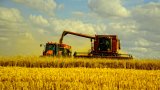 В Минагро оценили поддержку в 6,3 миллиарда на 2018 год и готовы к новым свершениям