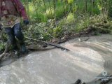 Дві групи бурштинокопачів затримали на Житомирщині