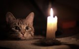 В Одесской области масштабное отключение света
