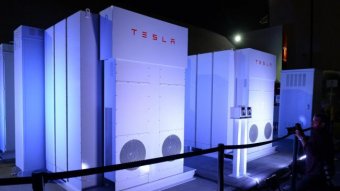 Tesla построит самое крупное хранилище энергии