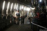 Міненерго зареєструвало державного вугільного гіганта