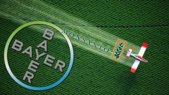 Bayer купує Monsanto і створює гігантського виробника ГМО