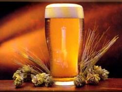 World's leading brewers suffer losses