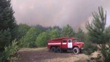 Радіаційний фон у Києві через пожежу в Чорнобильській зоні не підвищився
