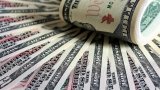 НБУ купив 111 мільйонів доларів на двох аукціонах