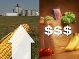 Мировые цены на продукты питания снова растут