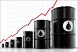 Світові ціни на нафту 14 листопада змінюються різноспрямовано