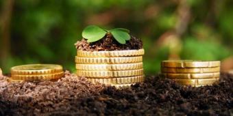 Скільки коштують сільськогосподарські землі України