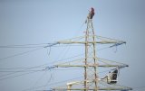 ГСЧС: Без света почти 90 населенных пунктов