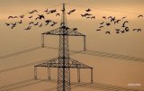 В Україні суттєво зростуть тарифи обленерго