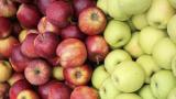 ЕС увеличит финансирование для продвижения агропродукции в третьи страны