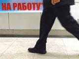 The Ministry of Social Policy of Ukraine is elaborating an employment project