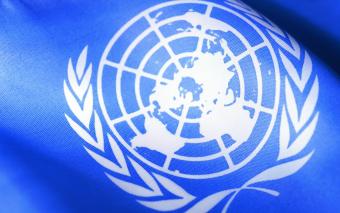ООН и Всемирный банк привлекут финансирования для решения проблем беженцев