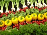 Споживання органічних продуктів в Україні цього року може досягти 25 млн євро &ndash; Мінагрополітики