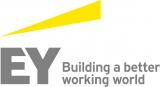 Ernst&amp;Young проведе аудит &laquo;Київзеленбуду&raquo;