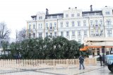 Доставка головної ялинки країни обійшлася в 100 тисяч