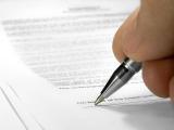 Income certificate of an independent professional - for the year under review