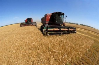 Українські аграрії вже намолотили 33,4 мільйона тонн зернових