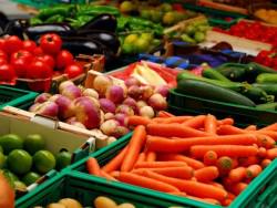 Розпочав роботу оптовий ринок сільгосппродукції